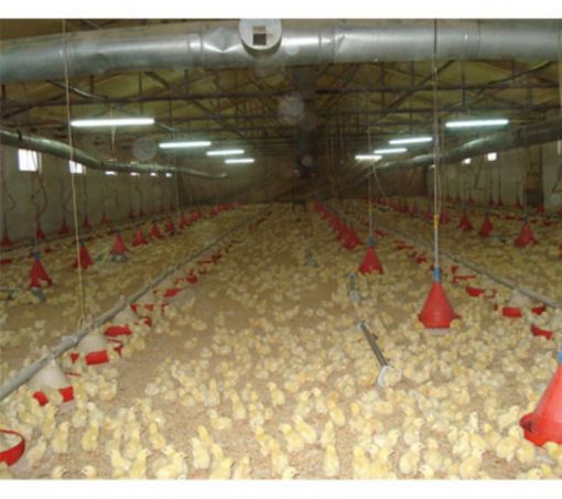  POLİÜRETAN KÖPÜK ÇİFTLİK YALITIMI